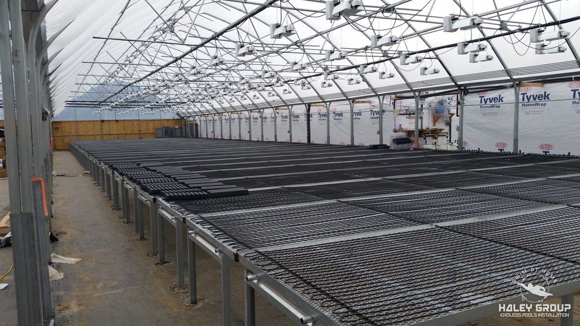 Large greenhouse interior with rolling bench tops installed